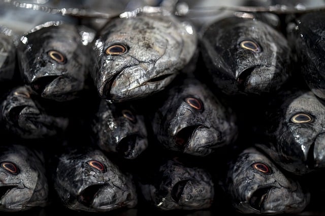 5-contaminated-foods-in-the-supermarket
