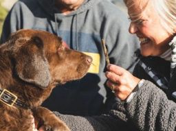 the-5-most-suitable-dog-breeds-for-seniors